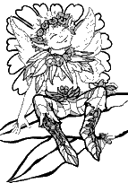 coloriage lutin fleur